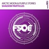 Download Video: Arctic Moon & Purple Stories - Shadow Particles