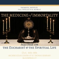 Charity & Communion in the Mystical Body | Fr. Dominic Legge OP