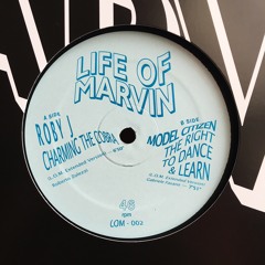 Roby J - Charming The Cobra (L.O.M. Extended Version)