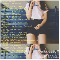 楽しい夜更かし (Mixed by DJ TaRo)