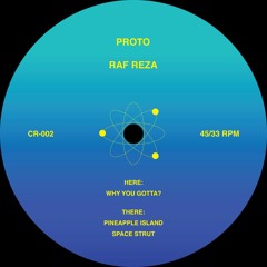 Exclusive Premiere: Raf Reza "Why You Gotta?" (Cosmic Resonance)