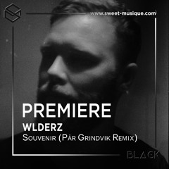 PREMIERE : Wlderz - Souvenir (Pär Grindvik Remix)[Skryptöm]