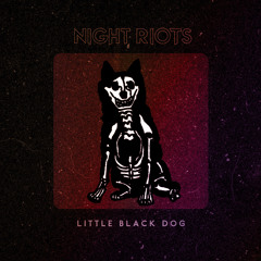 || Little Black Dog ||