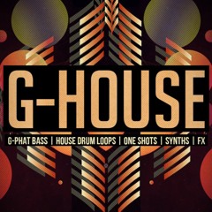 Best G - House Music Mix