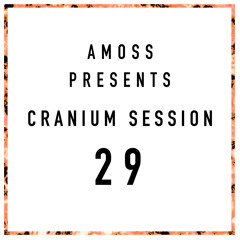Cranium Session S.1 - 29