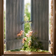 تعجّبَ الخلْقُ من دمعِي ومِن ألمي - أُفٍ لقلبٍ غيْر مُضّطرم | محمّد عبّاس