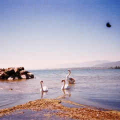 Coma Cinema - Loss Memory