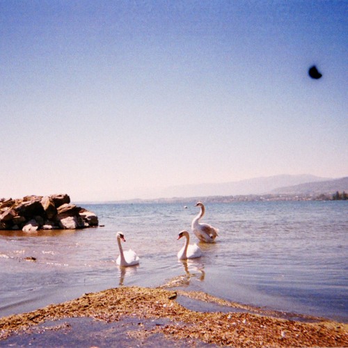 Coma Cinema - Burden