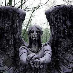 762sQ - KOS (Prod.DEDPURPLE)