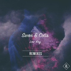 Swan - Low Key (Ruido Remix)