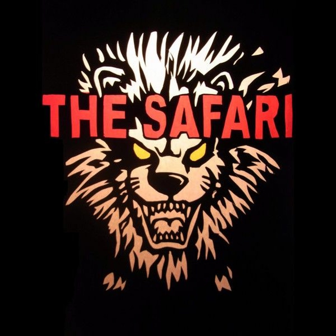 Safari サファリ - Safari　【見本盤】 Safari サファリ - Safari【見本盤】
