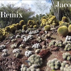 Jaco Pastorius - Portrait of Tracy (Remix)