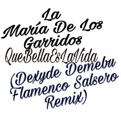 La María De Los Garridos - Que Bella Es La Vida (Dexyde Demebu Flamenco Salsero Remix)