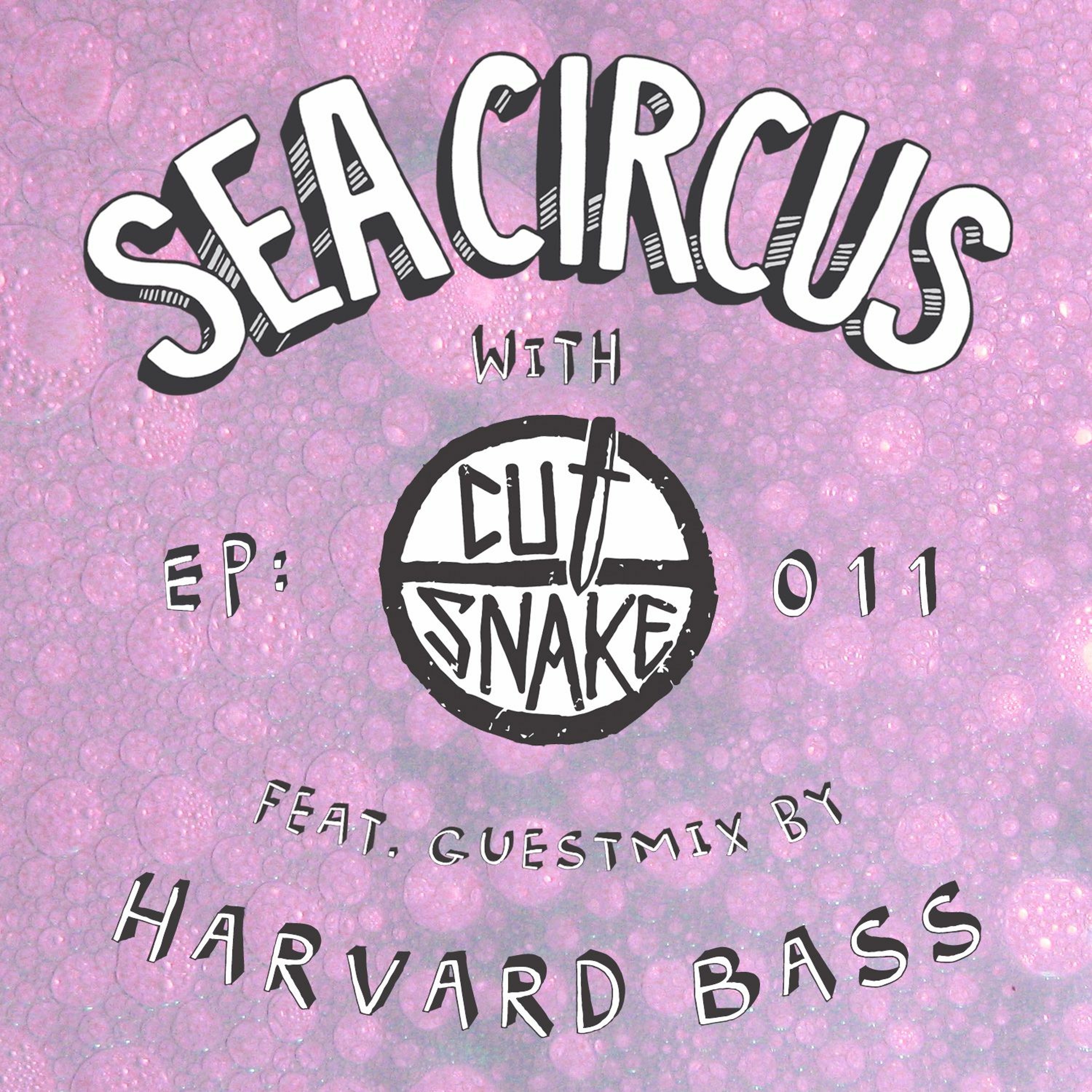 Cut Snake & Mates Ep 011 Harvard Bass Guestmix