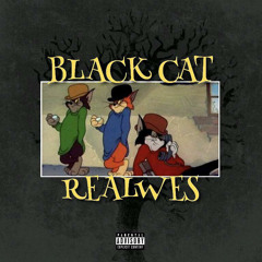 Black Cat - realwes