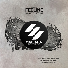 Nikko Culture - Feeling (Nayio Bitz Remix)