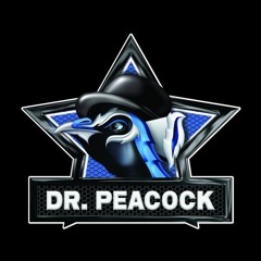 Dr. Peacock live @ Decibel 2017 (4K)