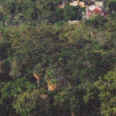 uber everywhere (ppr panda flip)