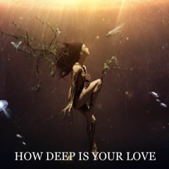 How Deep is Your Love - David Daniel(Bee Gees Cover)
