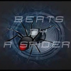 Bo0m Bap Test Beat (Feed Back)