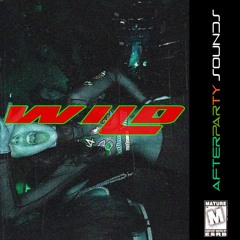 WiiiLD Freestyle (Prod.BenjiKris)