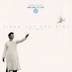 Ta Da Thay Gi Dem Nay (Nguyễn Hồng Ân)
