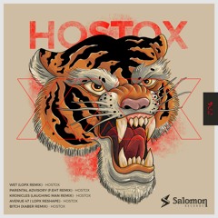Bitch (Xaber Remix) - Hostox -