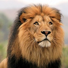 Tired A It - Suga Roy & Conrad Crystal same persons from the Fireball Crew