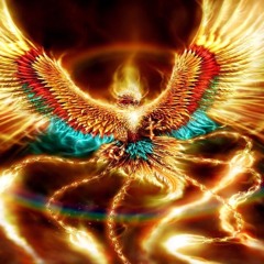 Phoenix (Zero To One)