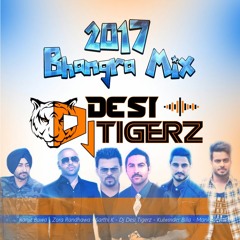 3. Dj Desi Tigerz -  2017 bhangra Megamix