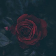 Tosh - De Tine (kvartal Remix)