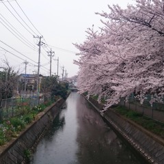 Câu Ví Dặm Người Ơi - Thanh Tài - NSƯT Tố Nga - Nhạc Dân Ca Trữ Tình Xứ Nghệ Chọn Lọc (1) - Sao Chép