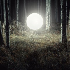 Night Of The Silver-Boar Hunting