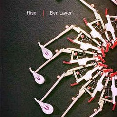 Acoustic Reflections | Rise