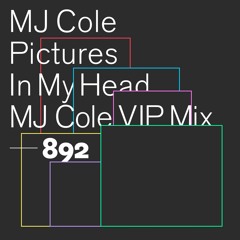 Pictures In My Head (MJ Cole VIP Mix)
