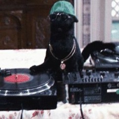 Saturday Evening Soul Train live @ BlackCat Fitzroy