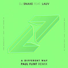 DJ Snake feat. Lauv - A Different Way (Paul Flint Remix)