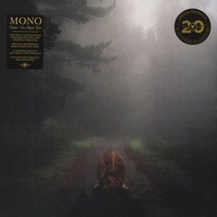 Mono - Error #9