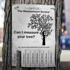 Can I measure your tree?