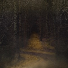 Hallows' Eve at Sparkwood (Halloween Playlist)