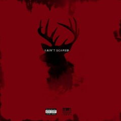 Traparabic (Instrumental)