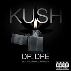 Dr Dre Feat. Snoop Dogg & Akon - Kush (Shadow Chasers Bootleg)