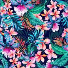 ---/Tropicalia  [ w - BIG A ]
