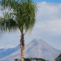 PAIL n Shovel Endings