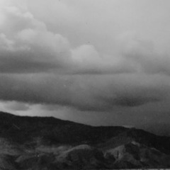 Roofie Slippers - Ubiquitous