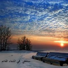 موسيقى هادئة حالمة