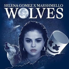 Marshmellow & Selena Gomez - Wolves (Tony Vms X Deftlaw Remix)