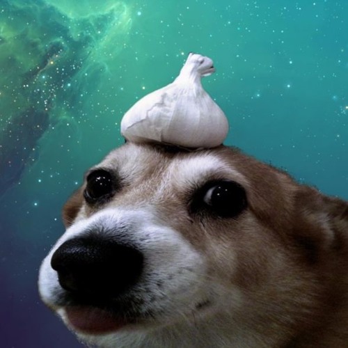 Stream Cuphead Mr King Dice (Trap Remix) by Studio Atriatica Listen