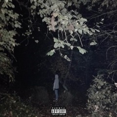 02 Wolf (prod. br.)