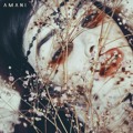 Amani Tranform&#x20;&#x28;Kells&#x20;Remix&#x29; Artwork